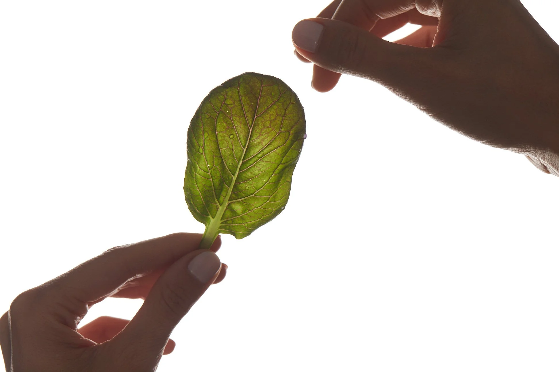 OnePointOne's Organic Certification – A New Era in Vertical